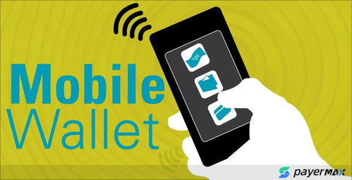 巴基斯坦電子錢(qián)包支付通道解析